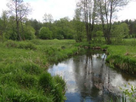 DZIAŁKA ROLNA NA SPRZEDAŻ NAD RZEKĄ 1300m2 LIPOWY MOST