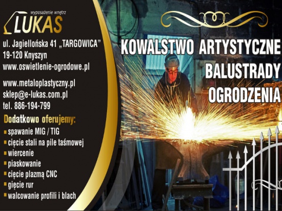 wózki schodowe